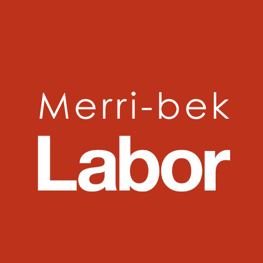 Merri-bek Labor logo